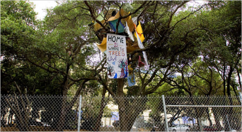 Protest on the Berkeley campus over a proposed athletic facility