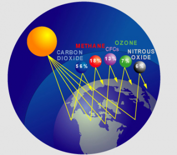 Causes of Global Warming