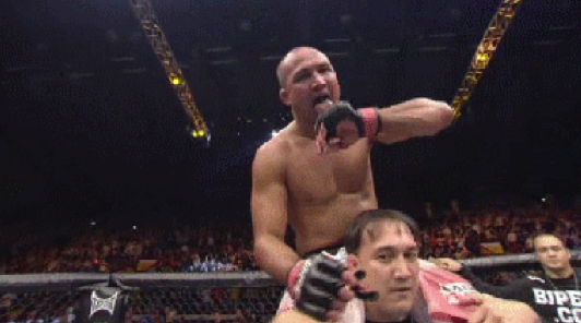 B.J. Penn cleaning his paws.