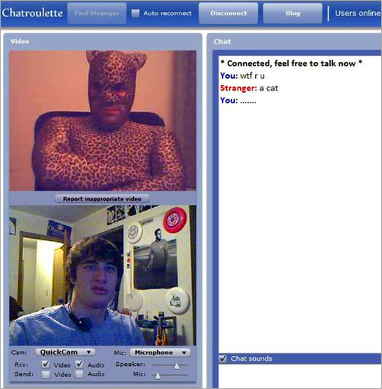 Sample Chatroulette Window