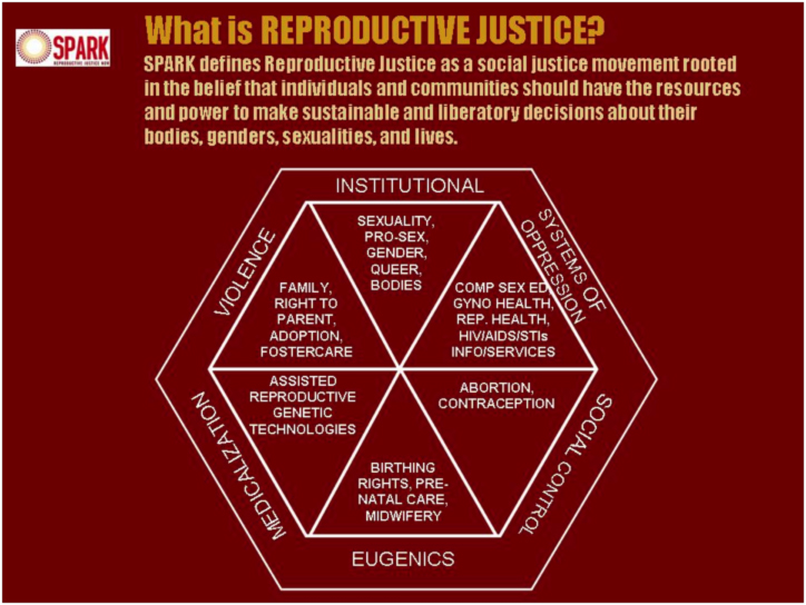 SPARK's diagram of reproductive justice