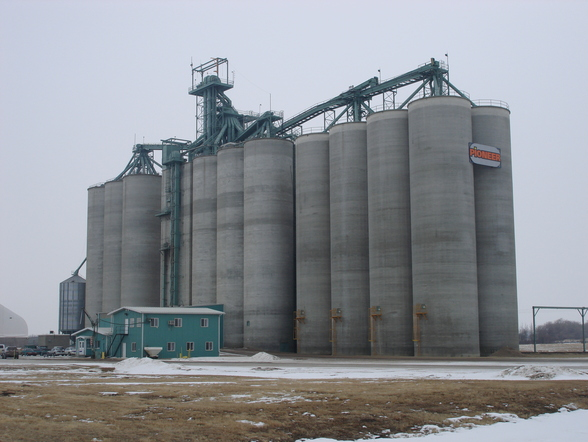 High through-put grain silo