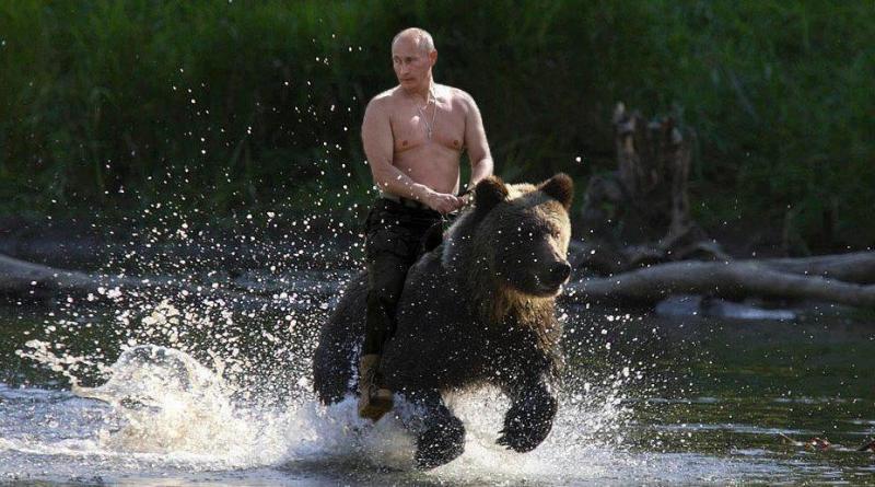 Vladimir Putin Rides a Bear