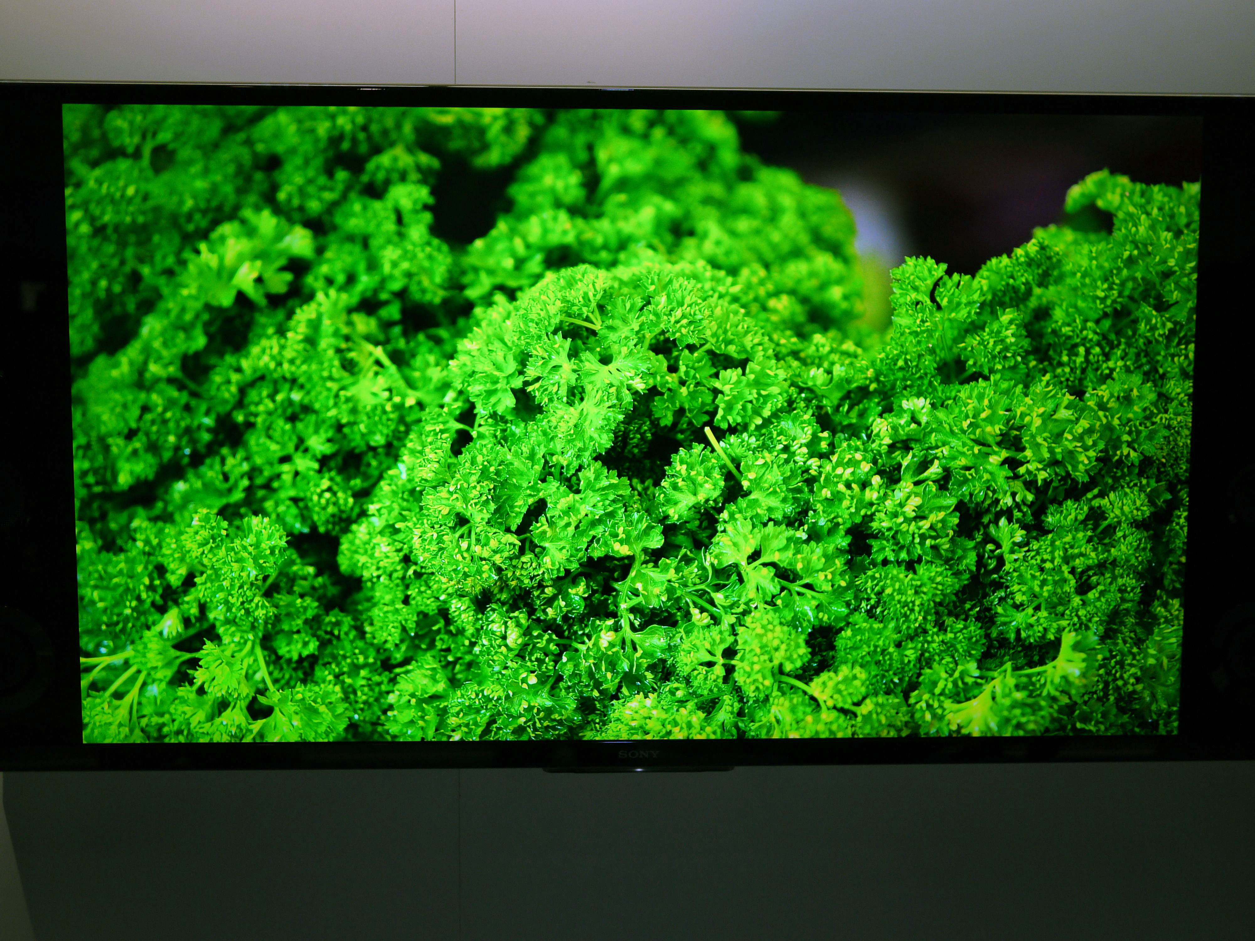 parsley tv