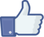 Facebook Like Thumb