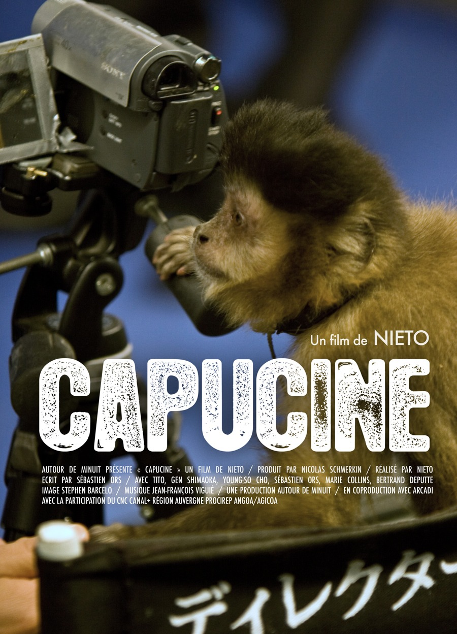 A capuchin monkey directing its first movie